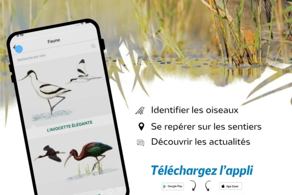 Les Marais du Vigueirat dans votre poche