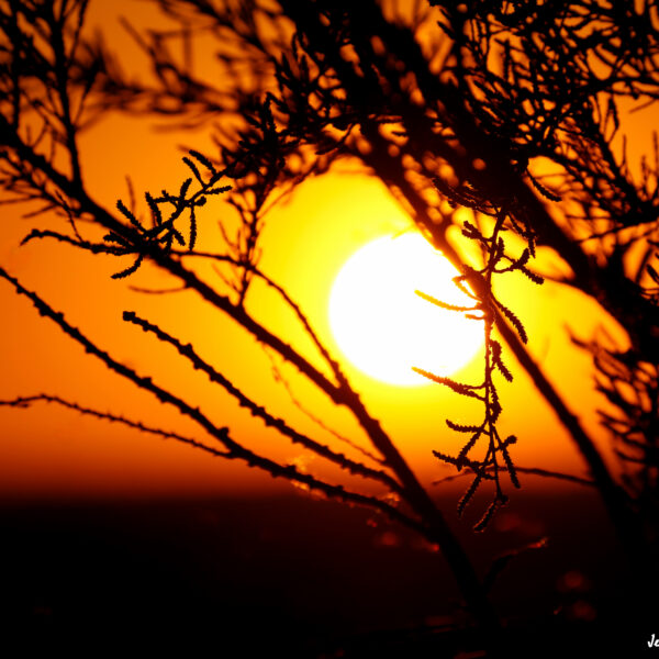 Coucher de soleil © Jean-Luc Moya • 2° Communication
