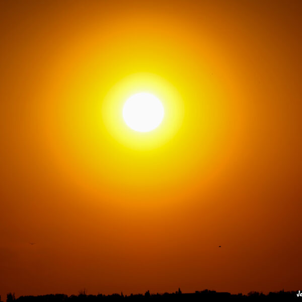 Coucher de soleil © Jean-Luc Moya • 2° Communication