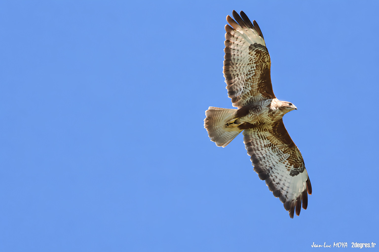 Buse variable (16) © J-Luc Moya 2 Degrés Communication