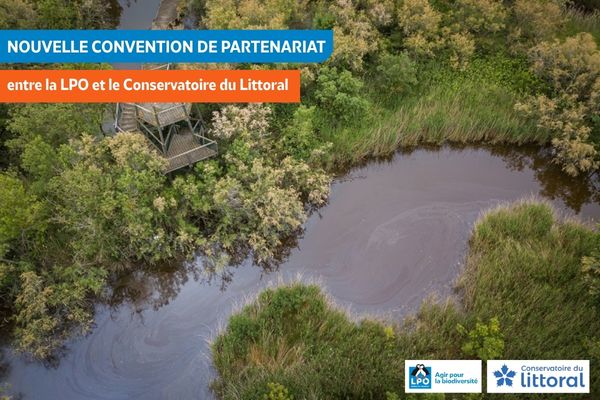 Une alliance renforcée pour la protection des Marais du Vigueirat