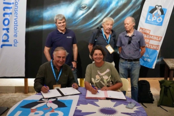 Une alliance renforcée pour la protection des Marais du Vigueirat