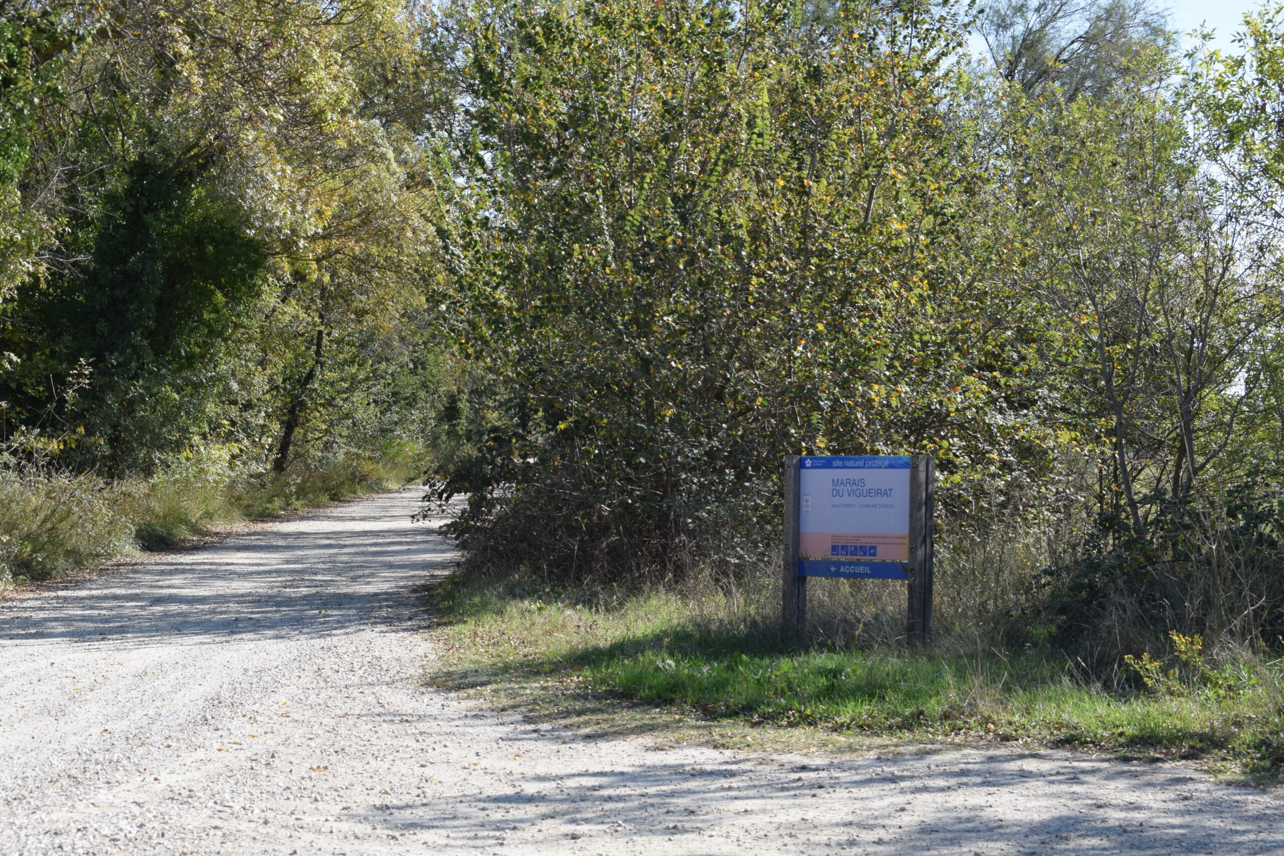 Réfection de la piste d&rsquo;accès aux Marais du Vigueirat