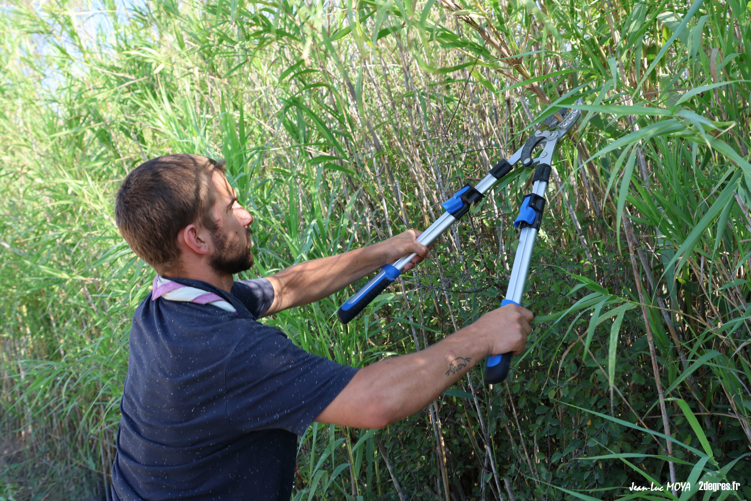 La nature en partage : un camp scout engagé aux Marais du Vigueirat