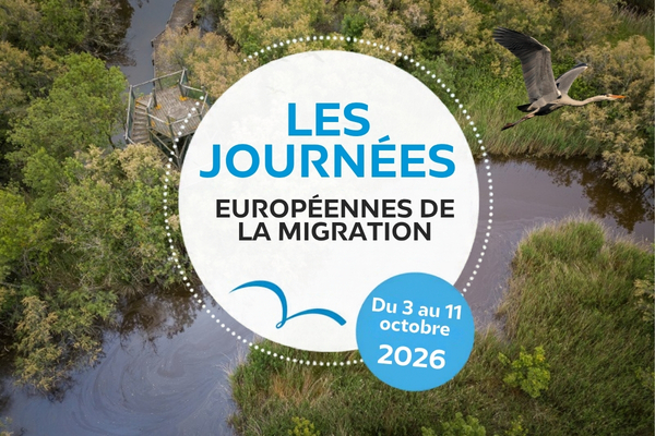 Journées européennes de la migration du 03 au 11.10.26