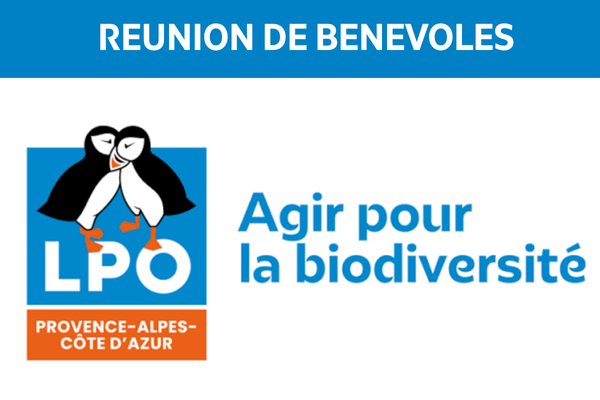 Réunion Bénévoles LPO PACA le 15.10.26